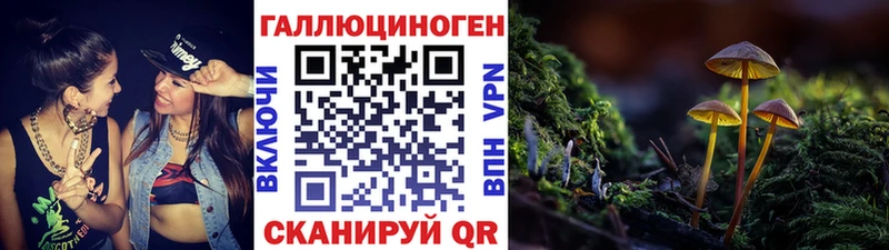 Псилоцибиновые грибы Psilocybe Аксай